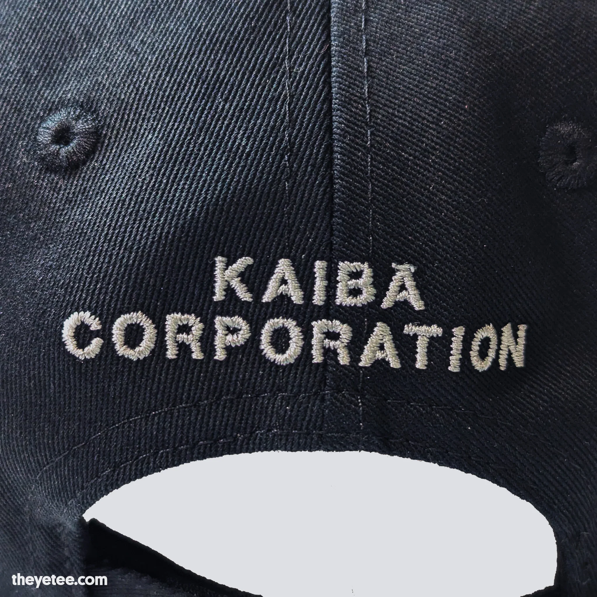 Kaiba Corp Cap - Image 4